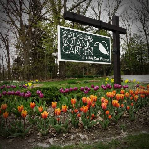 Admission-Free, The West Virginia Botanic Garden Is The Perfect Day Trip Destination