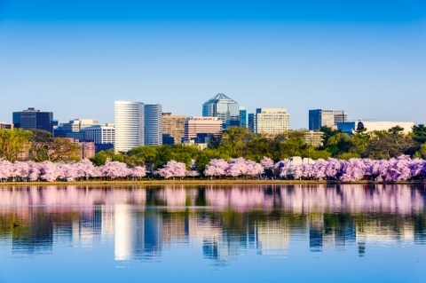 This Unique Day Trip To Arlington, Virginia Is A Must-Do