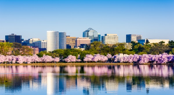 This Unique Day Trip To Arlington, Virginia Is A Must-Do