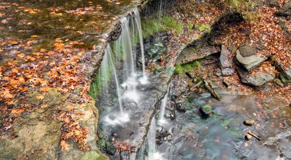 The Falls Vista Trail In West Virginia Is A 1-Mile Out-And-Back Hike With A Waterfall Finish