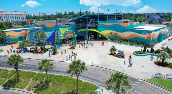 Explore South Carolina’s Only Ocean Tunnel At Ripley’s Aquarium In Myrtle Beach