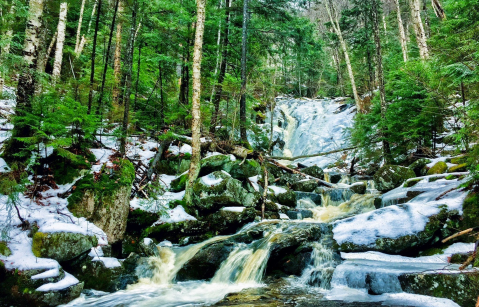 The Fletcher's Cascade Trail Trail In New Hampshire Is A 3.2-Mile Out-And-Back Hike With A Waterfall Finish