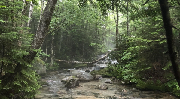 The Little Abol Falls Trail In Maine Is A 1.8-Mile Out-And-Back Hike With A Waterfall Finish