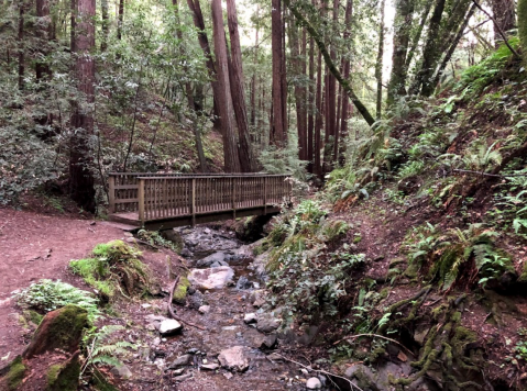 The Cascade Falls Trail In Northern California Is A .5-Mile Out-And-Back Hike With A Waterfall Finish