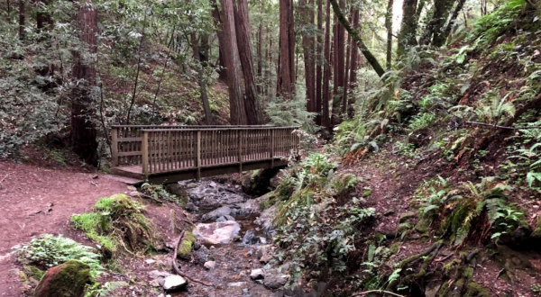 The Cascade Falls Trail In Northern California Is A .5-Mile Out-And-Back Hike With A Waterfall Finish