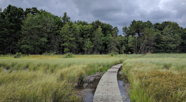 Step Into Serenity When You Walk On The Floating Trail At Bishop’s Bog Preserve In Michigan