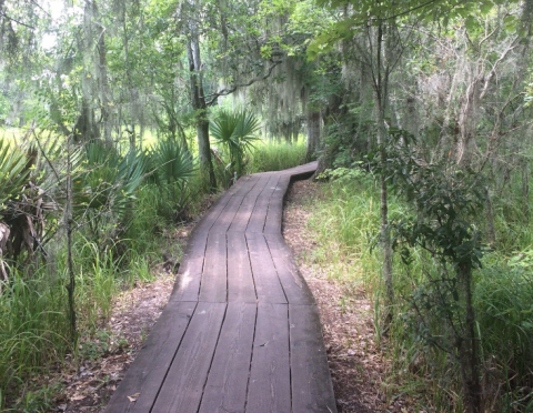 The Old Barataria Trail Will Show You A Completely New Side Of Louisiana