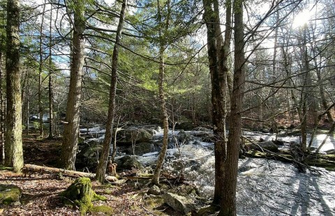 The Gorgeous 1.7-Mile Hike In Maine's Big Falls Preserve That Will Lead You Past A Waterfall And River