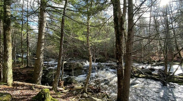 The Gorgeous 1.7-Mile Hike In Maine’s Big Falls Preserve That Will Lead You Past A Waterfall And River