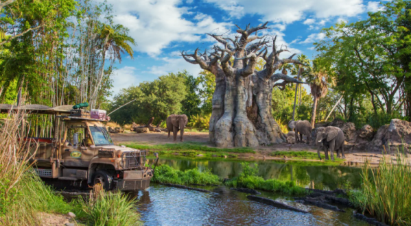 Go On A Realistic Safari As You Make Your Way Through Kilimanjaro Safaris In Florida