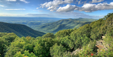 Explore Hundreds Of Acres Of Unparalleled Mountain Views On The Scenic Hawksbill Gap Loop In Virginia