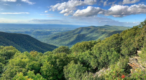 Explore Hundreds Of Acres Of Unparalleled Mountain Views On The Scenic Hawksbill Gap Loop In Virginia