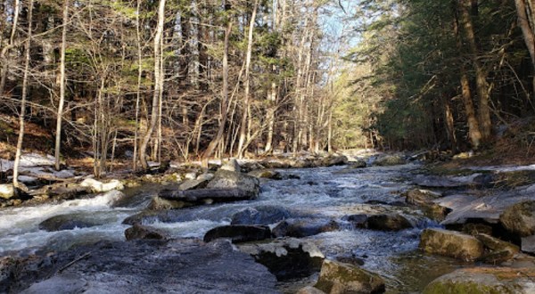 Escape To Mink Brook Nature Preserve For A Beautiful New Hampshire Nature Scene