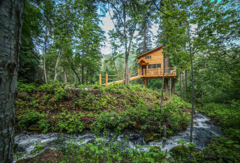 Relax And Unwind In This Quiet Treehouse In Washington Surrounded By 150 Acres Of Nature
