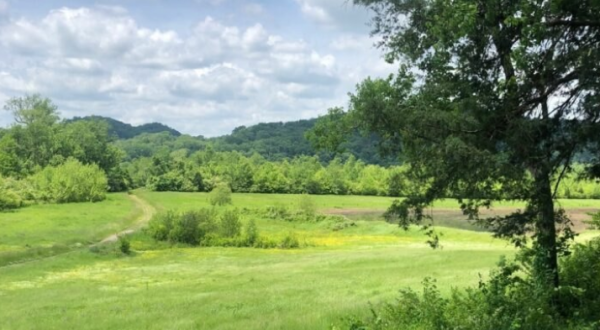Escape To Bells Bend For A Beautiful Nashville Nature Scene