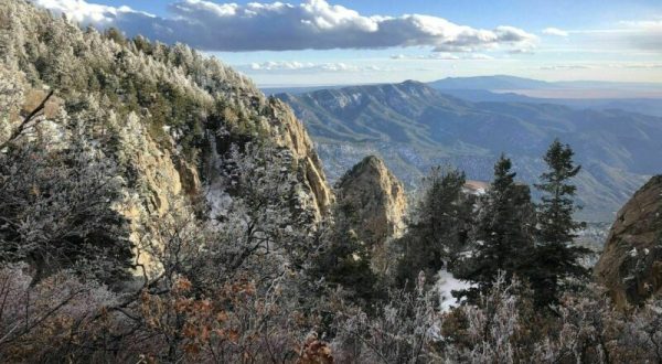 La Luz Trail Is A Gorgeous Forest Trail In New Mexico That Will Take You To A Hidden Overlook