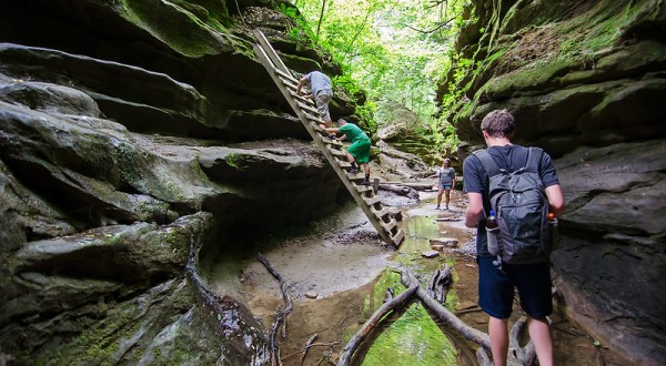 The Gorgeous 1.9-Mile Hike In Indiana’s Turkey Run State Park That Will Lead You Past An Emerald Canyon