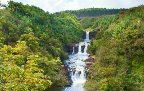 Visit Umauma Falls By Horseback On This Unique Tour In Hawaii