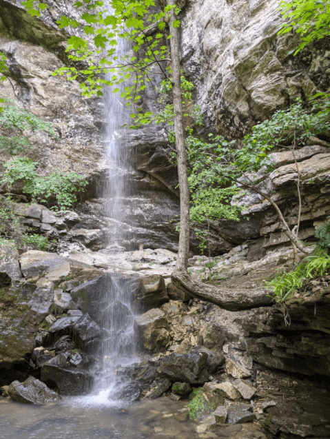 The Steele Falls Trail In Arkansas Is A 3-Mile Out-And-Back Hike With A Waterfall Finish