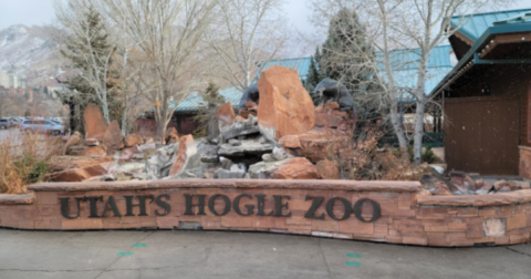 10 Reasons To Bundle Up And Visit Utah's Hogle Zoo This Winter