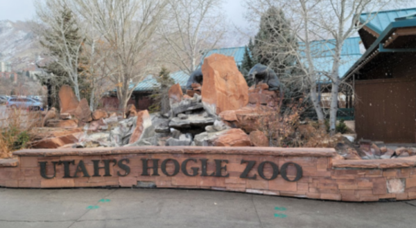 10 Reasons To Bundle Up And Visit Utah’s Hogle Zoo This Winter
