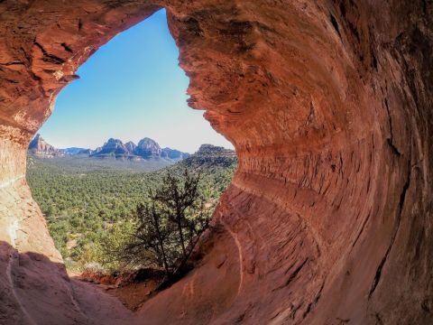The Gorgeous 2-Mile Hike In Arizona's Coconino National Forest That Will Lead You To A Hidden Cave