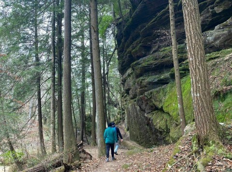 The Gorgeous 5-Mile Hike In Alabama's Bankhead National Forest That Will Lead You Past Waterfalls, Rock Formations, And Through A Cave
