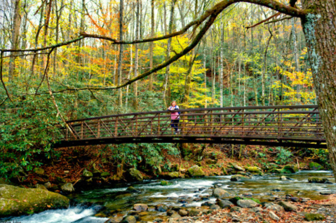 Explore Waterfalls, Mountains, And A River When You Visit South Carolina's Jones Gap State Park