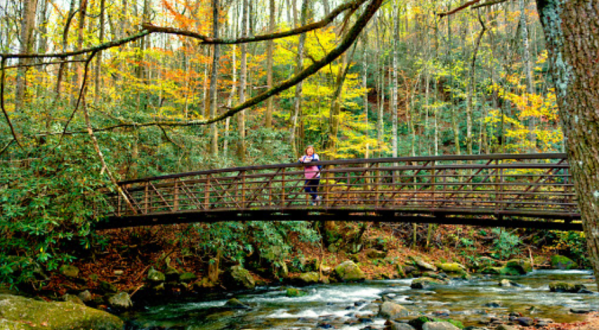 Explore Waterfalls, Mountains, And A River When You Visit South Carolina’s Jones Gap State Park