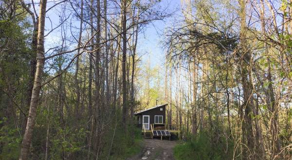 You’ll Never Forget Your Stay At This Cozy And Remote Tiny House In Alabama