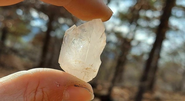 Hunt For Quartz On The Beautiful And Easy Crystal Vista Trail In Arkansas