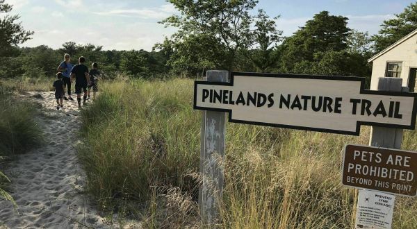The Peaceful Pinelands Nature Trail Is A Quiet Escape From Delaware’s Busiest Tourist Town