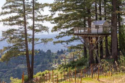 Sleep In A Treehouse Overlooking A Vineyard In Northern California For A Truly One-Of-A-Kind Stay