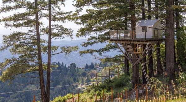 Sleep In A Treehouse Overlooking A Vineyard In Northern California For A Truly One-Of-A-Kind Stay