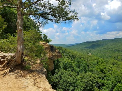 Explore 2,500 Acres Of Unparalleled Views Of Mountains On The Scenic Yellow Rock Trail In Arkansas