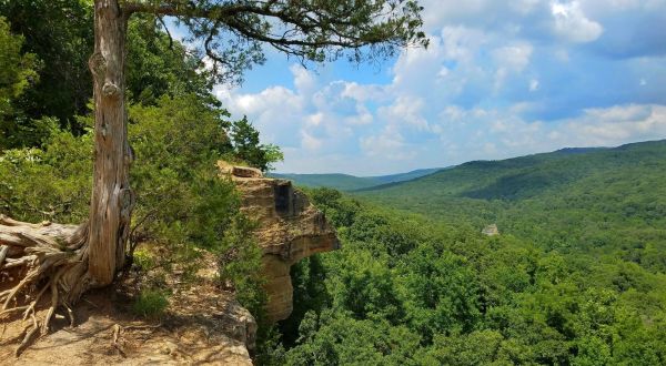 Explore 2,500 Acres Of Unparalleled Views Of Mountains On The Scenic Yellow Rock Trail In Arkansas