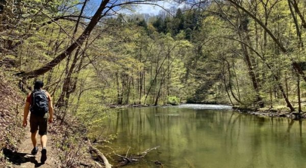 The Gorgeous 3-Mile Hike In Ohio’s Mohican State Forest That Will Lead You Past A Covered Bridge And River