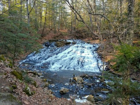 For An Adventurous Hike Featuring A Lake And A Waterfall, Take Bear Hole Reservoir Trail In Massachusetts