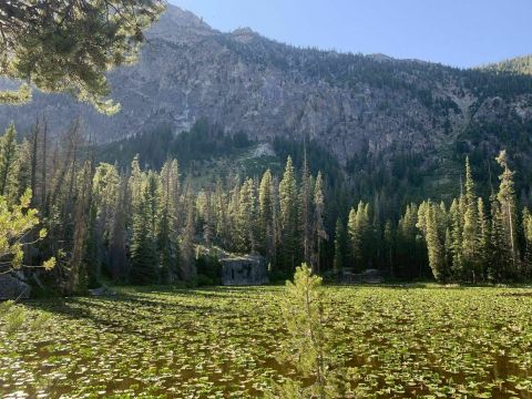 The Gorgeous 1.4-Mile Hike In Idaho's Sawtooth Mountains That Will Lead You Past A Waterfall And Pond