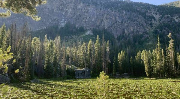 The Gorgeous 1.4-Mile Hike In Idaho’s Sawtooth Mountains That Will Lead You Past A Waterfall And Pond