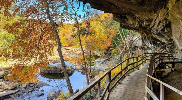Escape To Audra State Park For A Beautiful West Virginia Nature Scene