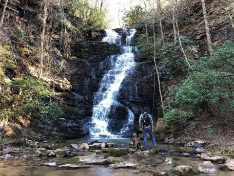 The Gorgeous 1.1-Mile Hike In South Carolina's Sumter National Forest That Will Lead You Past A Waterfall And Stream