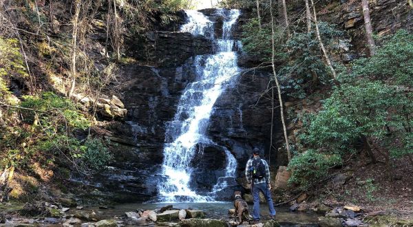 The Gorgeous 1.1-Mile Hike In South Carolina’s Sumter National Forest That Will Lead You Past A Waterfall And Stream