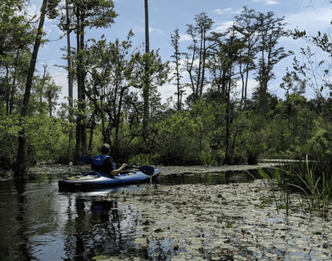This Little-Known 3-Mile Canoe Or Kayak Trail Through Cypress Trees In South Carolina Is A Paddler's Dream Come True