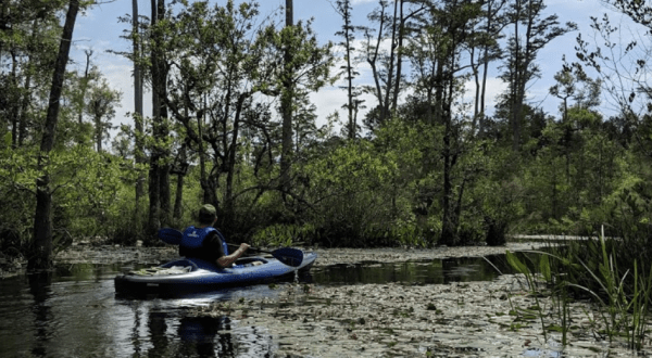 This Little-Known 3-Mile Canoe Or Kayak Trail Through Cypress Trees In South Carolina Is A Paddler’s Dream Come True