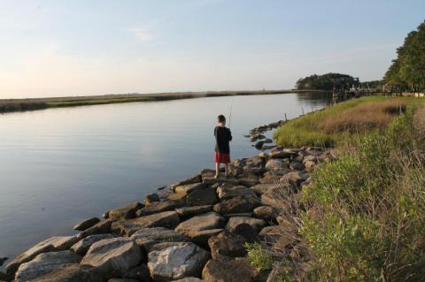 Escape To Janes Island State Park For A Beautiful Maryland Nature Scene
