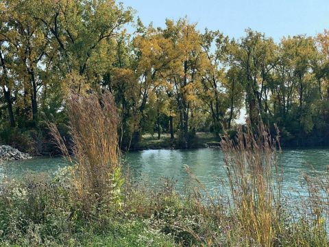 Escape To Blue Heron Lagoon For A Beautiful Detroit Nature Scene
