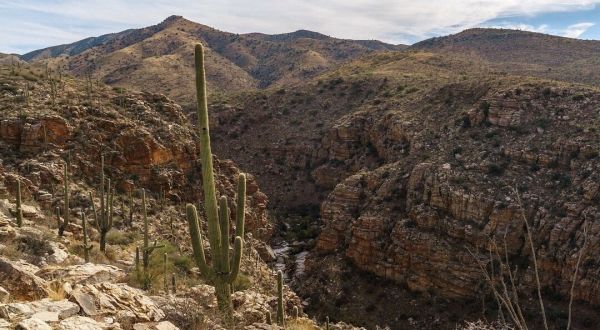 Hidden Deep In The Arizona Desert, La Milagrosa Canyon Is One Of The Most Underrated Natural Wonders Around