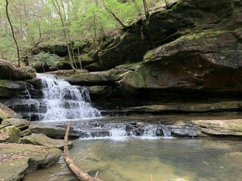 The Parker Falls Trail In Alabama Is A 1.7-Mile Out-And-Back Hike With A Waterfall Finish