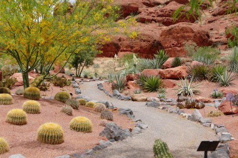 Escape To Red Hills Desert Garden For A Beautiful Utah Nature Scene